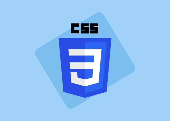 CSS course
