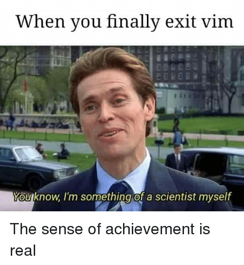 exit VIM meme